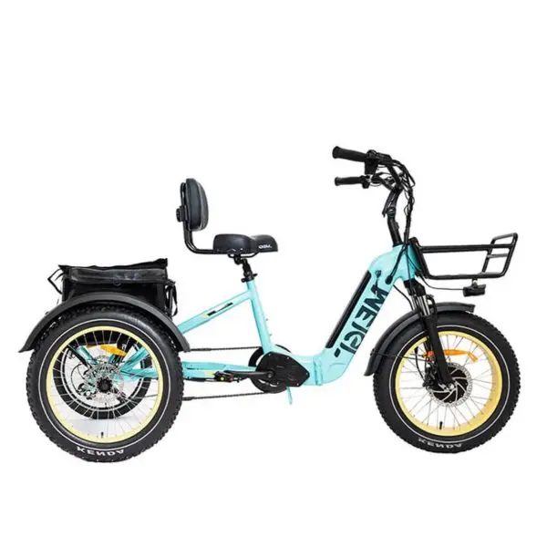 20-inch-foldable-fat-tire-electric-trike-48v-14ah-battery-750w-motor-330-pound-weight-capacity-1-01-1.webp