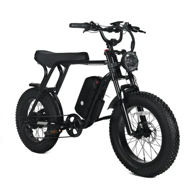 adult-electric-mountain-bike-1000w-motor-48v-20ah-removable-battery-20x4-0-fat-tires-45-mph-top-speed-shimano-7-speed-1-01-2.webp