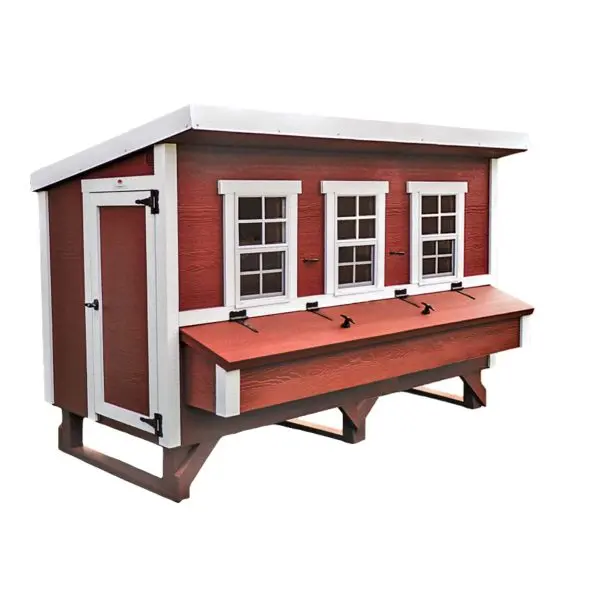 extra-large-chicken-coop-spacious-backyard-poultry-housing-1-01-1.webp