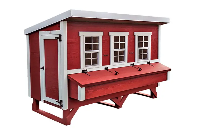 large-chicken-coop-housing-up-to-20-birds-1-2.webp